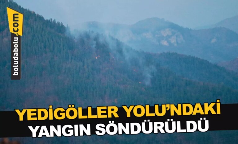 YEDİGÖLLER YOLU’NDAKİ YANGIN SÖNDÜRÜLDÜ