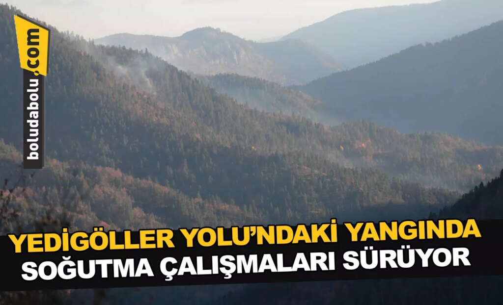 YEDİGÖLLER YOLU’NDAKİ YANGINDA SOĞUTMA ÇALIŞMALARI SÜRÜYOR YEDİGÖLLER YOLU’NDAKİ YANGINDA SOĞUTMA ÇALIŞMALARI SÜRÜYOR