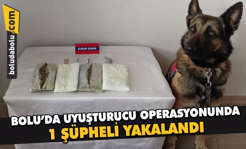 Bolu’da uyuşturucu operasyonunda 1 şüpheli yakalandı Bolu’da uyuşturucu operasyonunda 1 şüpheli yakalandı