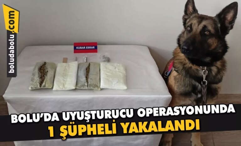 Bolu’da uyuşturucu operasyonunda 1 şüpheli yakalandı