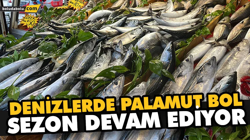 DENİZLERDE PALAMUT BOL, SEZON DEVAM EDİYOR