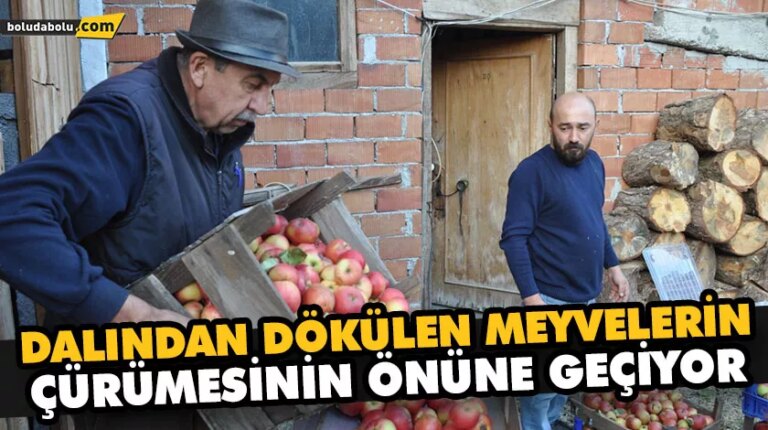 DALINDAN DÖKÜLEN MEYVELERİN ÇÜRÜMESİNİN ÖNÜNE GEÇİYOR