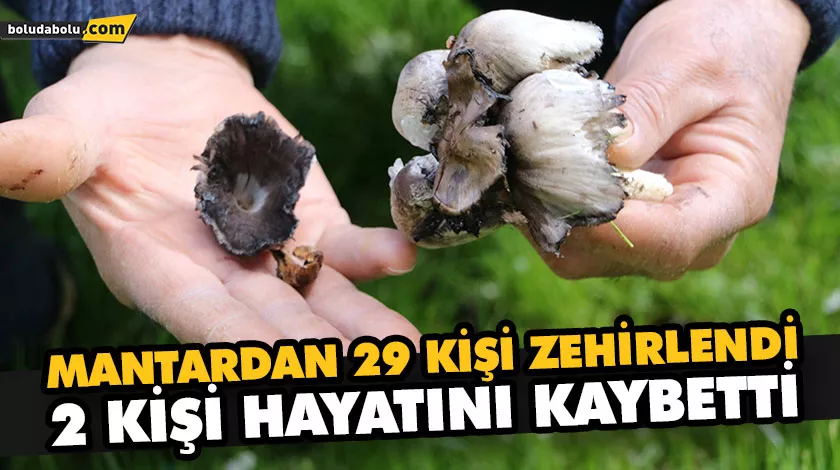 KOMŞU’DA MANTAR ALARMI!