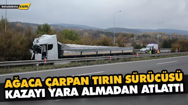 AĞACA ÇARPAN TIRIN SÜRÜCÜSÜ KAZAYI YARA ALMADAN ATLATTI