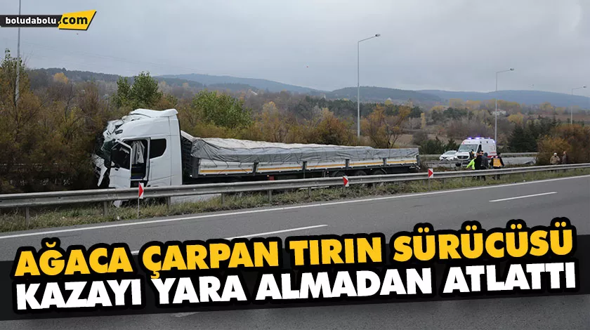AĞACA ÇARPAN TIRIN SÜRÜCÜSÜ KAZAYI YARA ALMADAN ATLATTI AĞACA ÇARPAN TIRIN SÜRÜCÜSÜ KAZAYI YARA ALMADAN ATLATTI