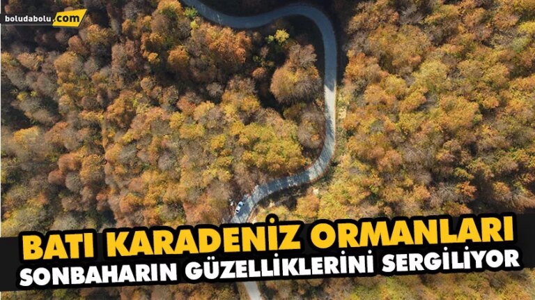 BATI KARADENİZ ORMANLARI SONBAHARIN GÜZELLİKLERİNİ SERGİLİYOR