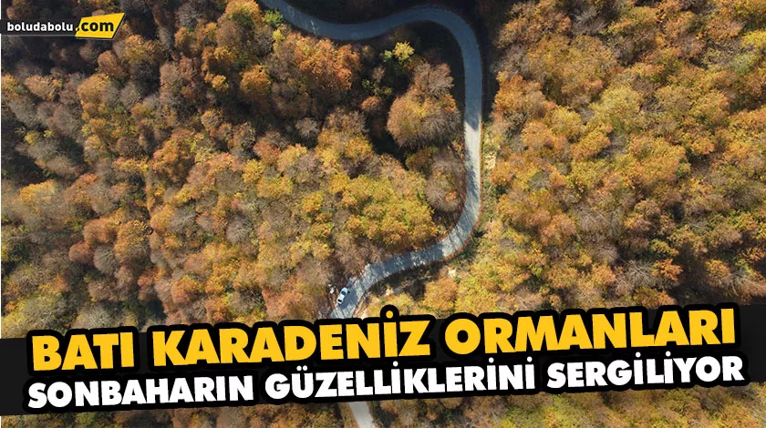 BATI KARADENİZ ORMANLARI SONBAHARIN GÜZELLİKLERİNİ SERGİLİYOR BATI KARADENİZ ORMANLARI SONBAHARIN GÜZELLİKLERİNİ SERGİLİYOR