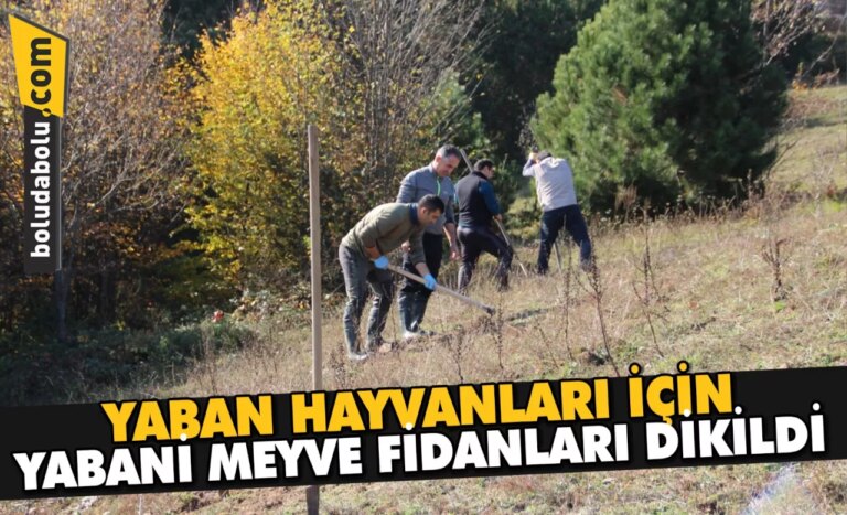 Düzce’de, yaban hayvanları için yabani meyve fidanları dikildi