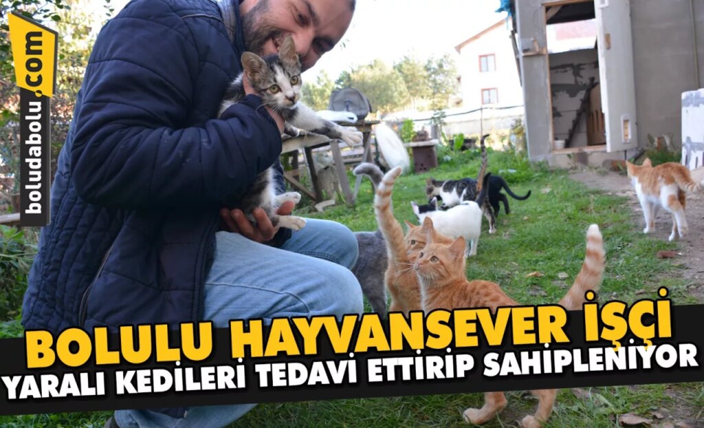 Bolulu hayvansever işçi, yaralı kedileri tedavi ettirip sahipleniyor
