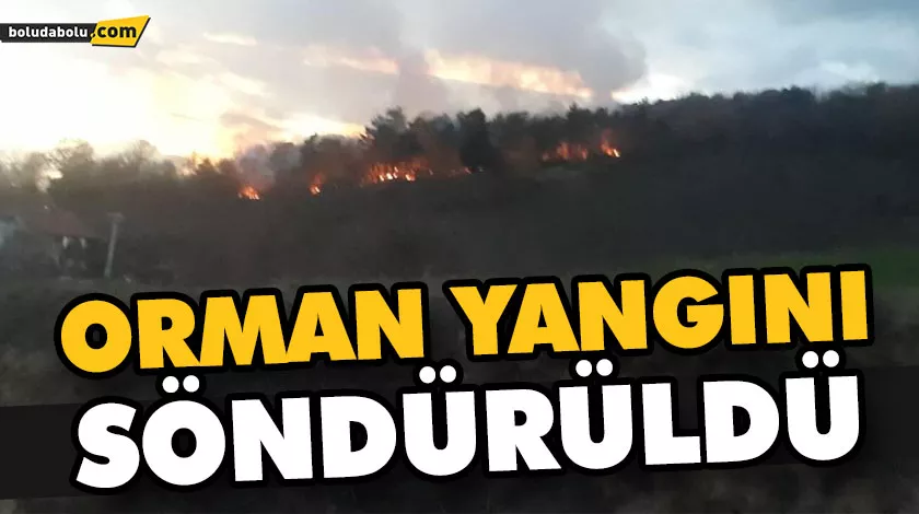 ORMAN YANGINI SÖNDÜRÜLDÜ ORMAN YANGINI SÖNDÜRÜLDÜ