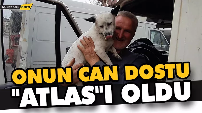 ONUN CAN DOSTU “ATLAS”I OLDU ONUN CAN DOSTU “ATLAS”I OLDU