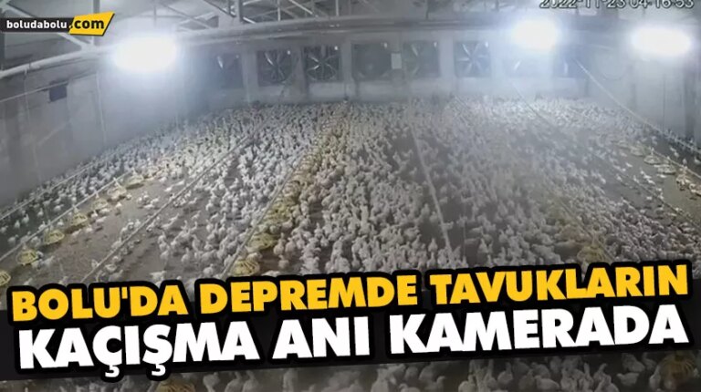 BOLU’DA DEPREMDE TAVUKLARIN KAÇIŞMA ANI KAMERADA