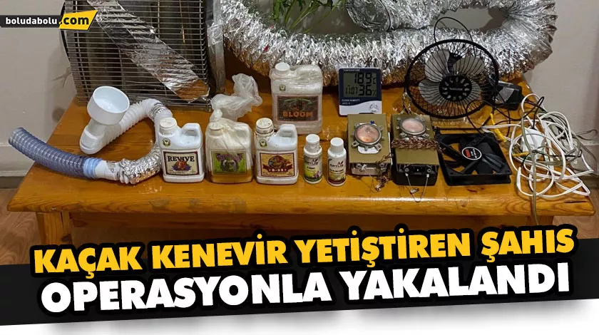 KENEVİR YETİŞTİRMEK İÇİN EVİNDE DÜZENEK KURDU KENEVİR YETİŞTİRMEK İÇİN EVİNDE DÜZENEK KURDU