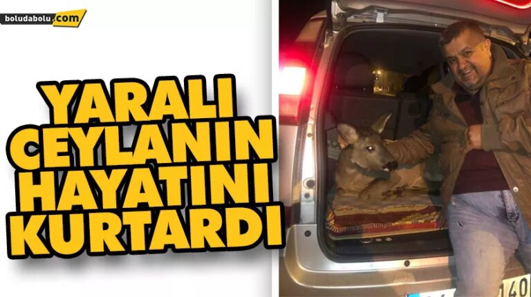 YARALI CEYLANIN HAYATINI KURTARDI