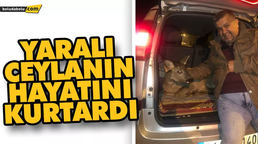 YARALI CEYLANIN HAYATINI KURTARDI YARALI CEYLANIN HAYATINI KURTARDI