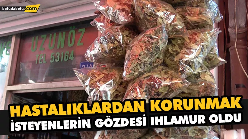 HASTALIKLARDAN KORUNMAK İSTEYENLERİN GÖZDESİ IHLAMUR OLDU HASTALIKLARDAN KORUNMAK İSTEYENLERİN GÖZDESİ IHLAMUR OLDU
