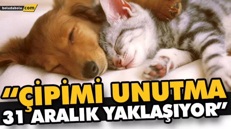 “ÇİPİMİ UNUTMA 31 ARALIK YAKLAŞIYOR”