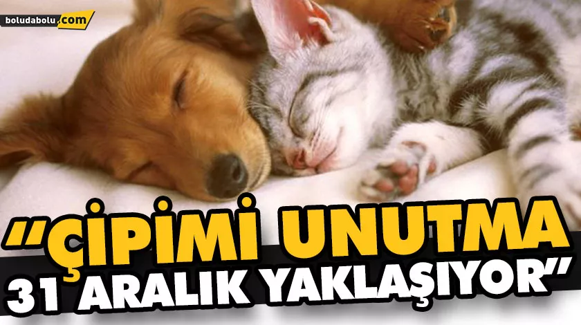 “ÇİPİMİ UNUTMA 31 ARALIK YAKLAŞIYOR” “ÇİPİMİ UNUTMA 31 ARALIK YAKLAŞIYOR”