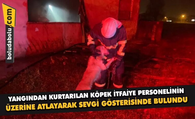Yangından kurtarılan köpek itfaiye personelinin üzerine atlayarak sevgi gösterisinde bulundu