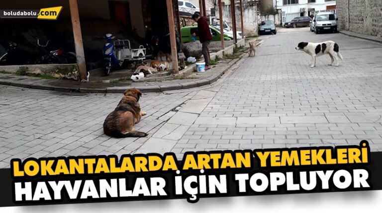 LOKANTALARDA ARTAN YEMEKLERİ HAYVANLAR İÇİN TOPLUYOR