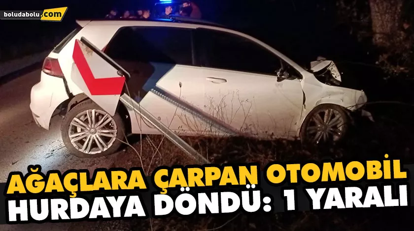 AĞAÇLARA ÇARPAN OTOMOBİL HURDAYA DÖNDÜ: 1 YARALI AĞAÇLARA ÇARPAN OTOMOBİL HURDAYA DÖNDÜ: 1 YARALI