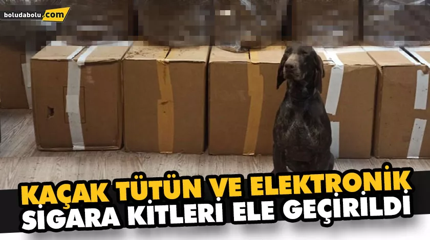 KAÇAK TÜTÜN VE ELEKTRONİK SİGARA KİTLERİ ELE GEÇİRİLDİ KAÇAK TÜTÜN VE ELEKTRONİK SİGARA KİTLERİ ELE GEÇİRİLDİ