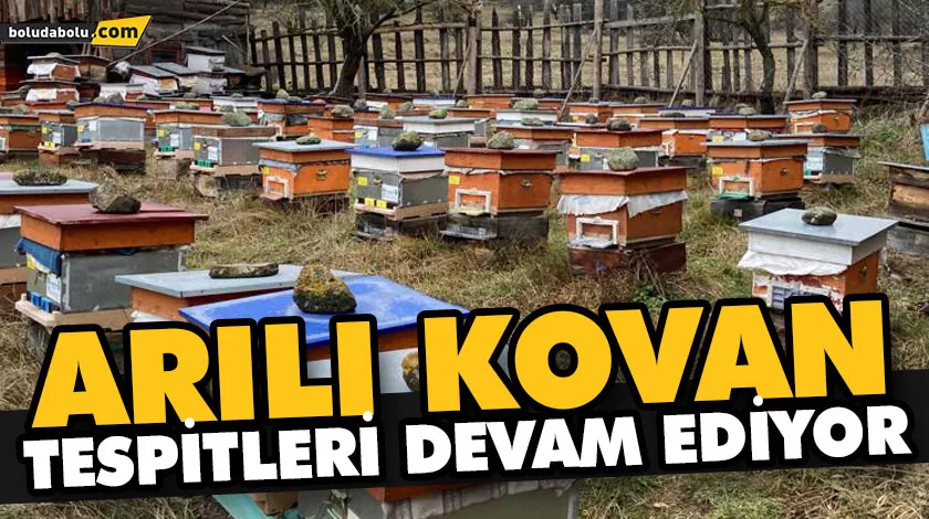 ARILI KOVAN TESPİTLERİ DEVAM EDİYOR ARILI KOVAN TESPİTLERİ DEVAM EDİYOR