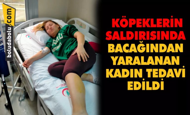 Bolu’da köpeklerin saldırısında bacağından yaralanan kadın tedavi edildi