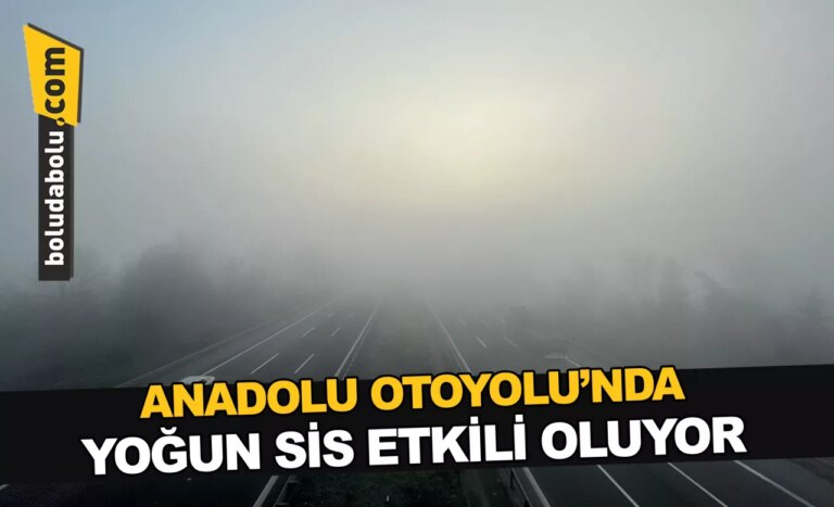 Anadolu Otoyolu’nda yoğun sis etkili oluyor
