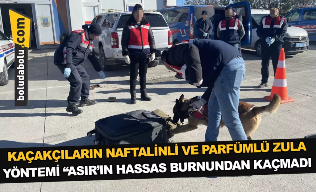 Kaçakçıların naftalinli ve parfümlü zula yöntemi “Asır’ın hassas burnundan kaçmadı Kaçakçıların naftalinli ve parfümlü zula yöntemi “Asır’ın hassas burnundan kaçmadı