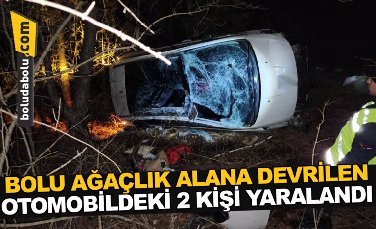 Bolu’da ağaçlık alana devrilen otomobildeki 2 kişi yaralandı