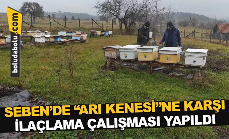 Seben’de “arı kenesi”ne karşı ilaçlama çalışması yapıldı