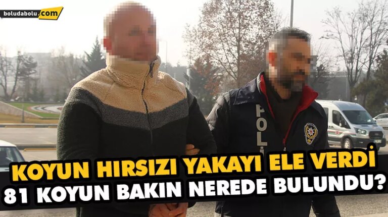 KOYUN HIRSIZI YAKAYI ELE VERDİ