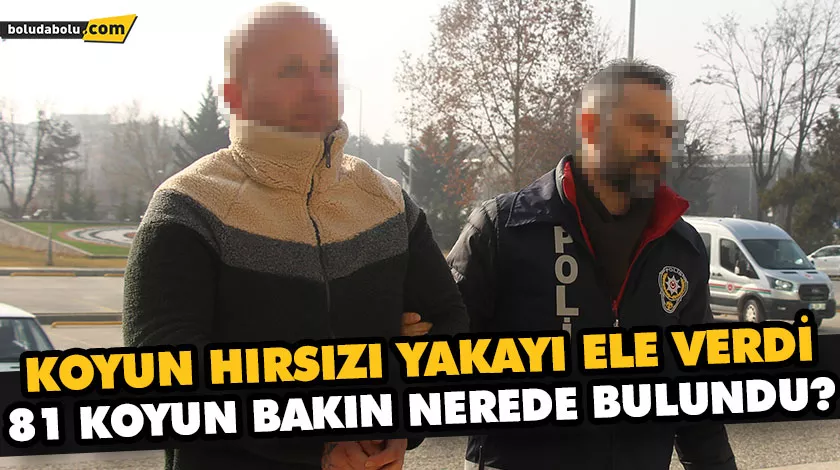 KOYUN HIRSIZI YAKAYI ELE VERDİ KOYUN HIRSIZI YAKAYI ELE VERDİ