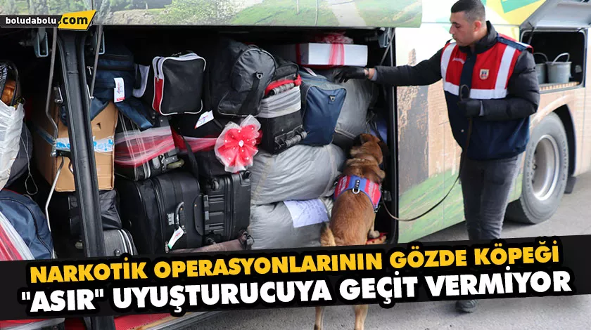 NARKOTİK OPERASYONLARININ GÖZDE KÖPEĞİ “ASIR” UYUŞTURUCUYA GEÇİT VERMİYOR NARKOTİK OPERASYONLARININ GÖZDE KÖPEĞİ “ASIR” UYUŞTURUCUYA GEÇİT VERMİYOR