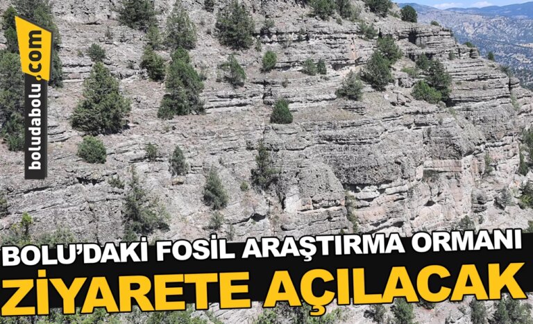 Bolu’daki Fosil Araştırma Ormanı ziyarete açılacak