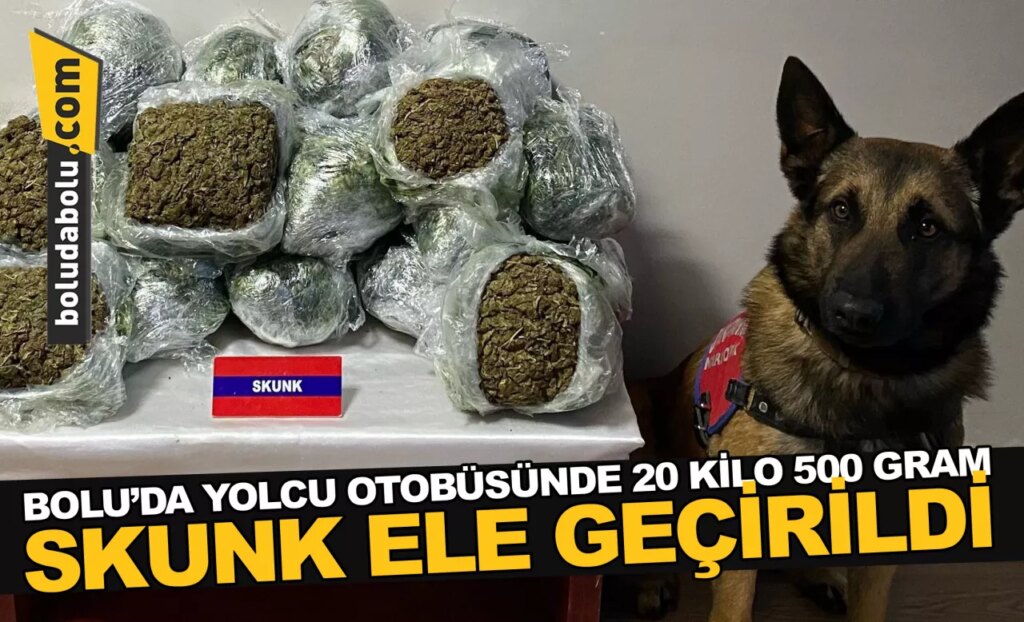 Bolu’da yolcu otobüsünde 20 kilo 500 gram skunk ele geçirildi Bolu’da yolcu otobüsünde 20 kilo 500 gram skunk ele geçirildi