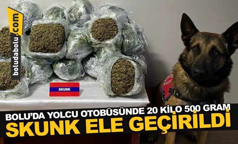 Bolu’da yolcu otobüsünde 20 kilo 500 gram skunk ele geçirildi