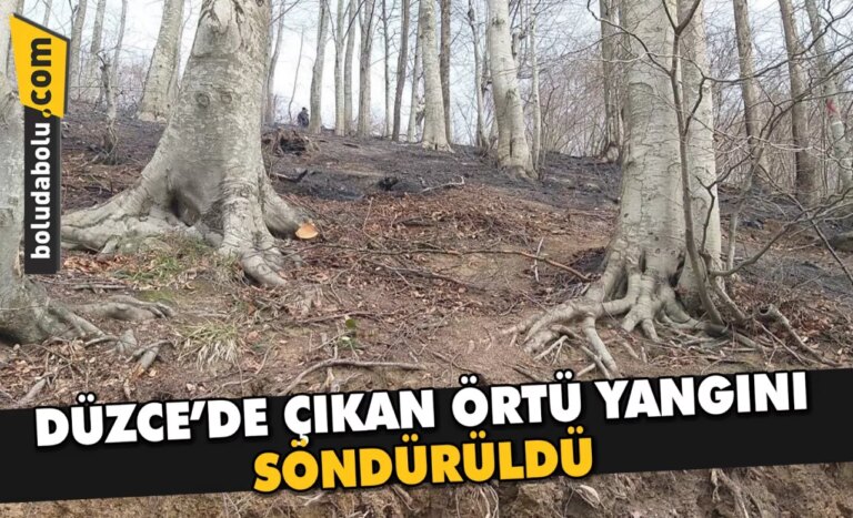 Düzce’de çıkan örtü yangını söndürüldü