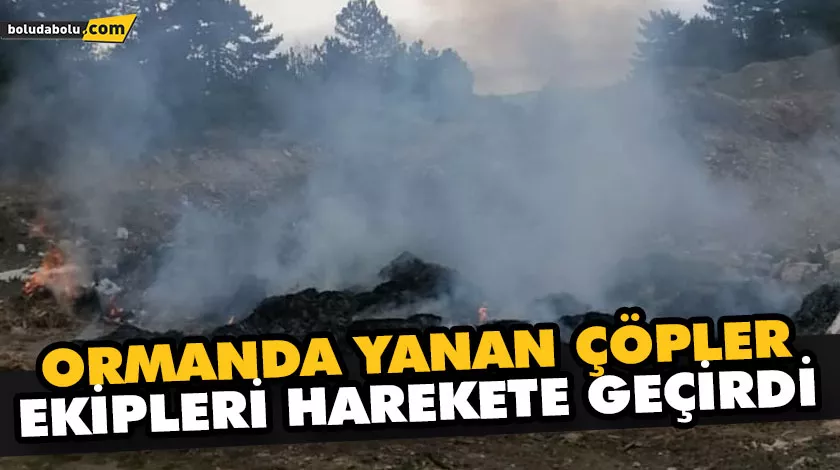 ORMANDA YANAN ÇÖPLER EKİPLERİ HAREKETE GEÇİRDİ ORMANDA YANAN ÇÖPLER EKİPLERİ HAREKETE GEÇİRDİ