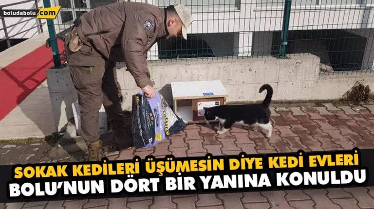 SOKAK KEDİLERİ ÜŞÜMESİN DİYE KEDİ EVLERİ BOLU’NUN DÖRT BİR YANINA KONULDU