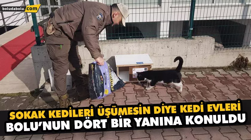SOKAK KEDİLERİ ÜŞÜMESİN DİYE KEDİ EVLERİ BOLU’NUN DÖRT BİR YANINA KONULDU
