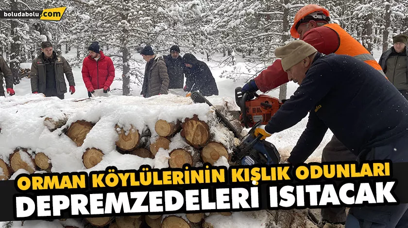 ORMAN KÖYLÜLERİNİN KIŞLIK ODUNLARI DEPREMZEDELERİ ISITACAK ORMAN KÖYLÜLERİNİN KIŞLIK ODUNLARI DEPREMZEDELERİ ISITACAK