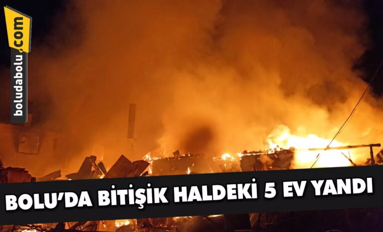 Bolu’da bitişik haldeki 5 ev yandı