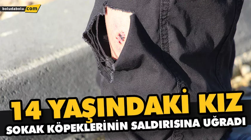 “ÇOK KORKTUM, KÖPEKLERE KARŞI BİR TRAVMAM OLDU” “ÇOK KORKTUM, KÖPEKLERE KARŞI BİR TRAVMAM OLDU”