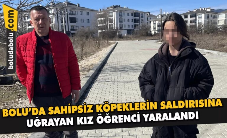 Bolu’da sahipsiz köpeklerin saldırısına uğrayan kız öğrenci yaralandı