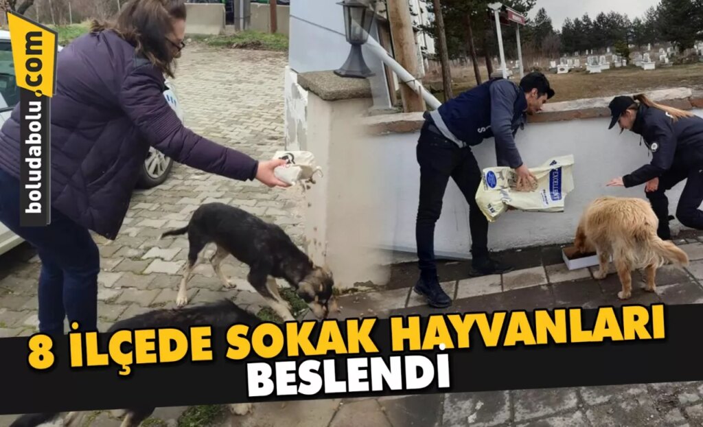 8 İLÇEDE SOKAK HAYVANLARI BESLENDİ 8 İLÇEDE SOKAK HAYVANLARI BESLENDİ
