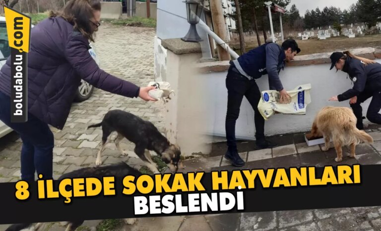 8 İLÇEDE SOKAK HAYVANLARI BESLENDİ
