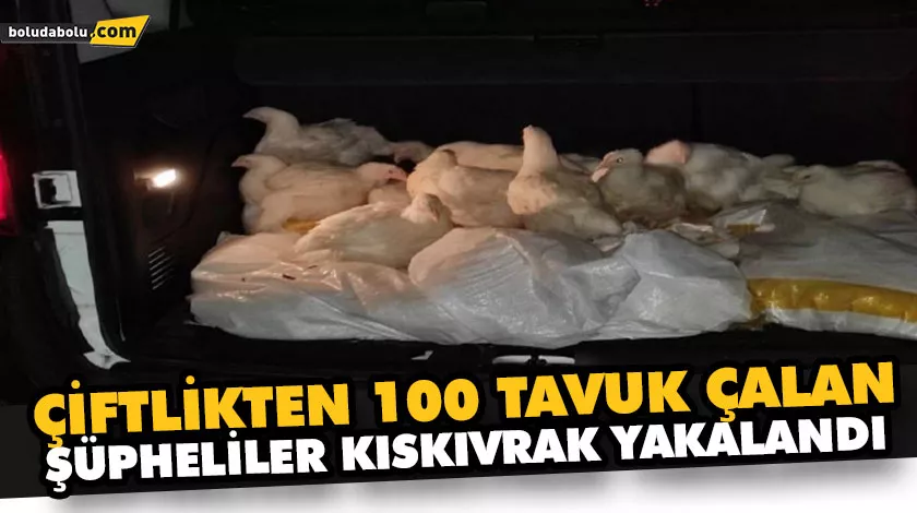 BU DA TAVUK HIRSIZLIĞI BU DA TAVUK HIRSIZLIĞI