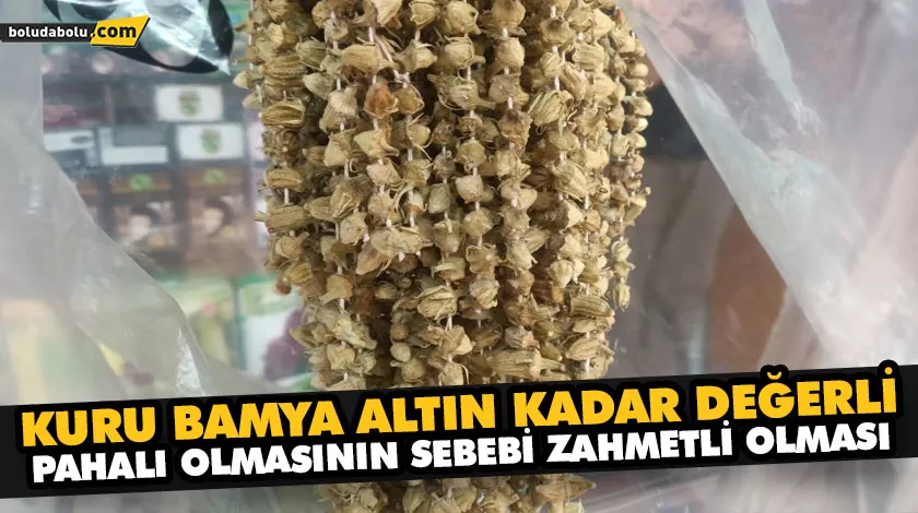 PAHALI OLMASININ SEBEBİ ZAHMETLİ OLMASI PAHALI OLMASININ SEBEBİ ZAHMETLİ OLMASI